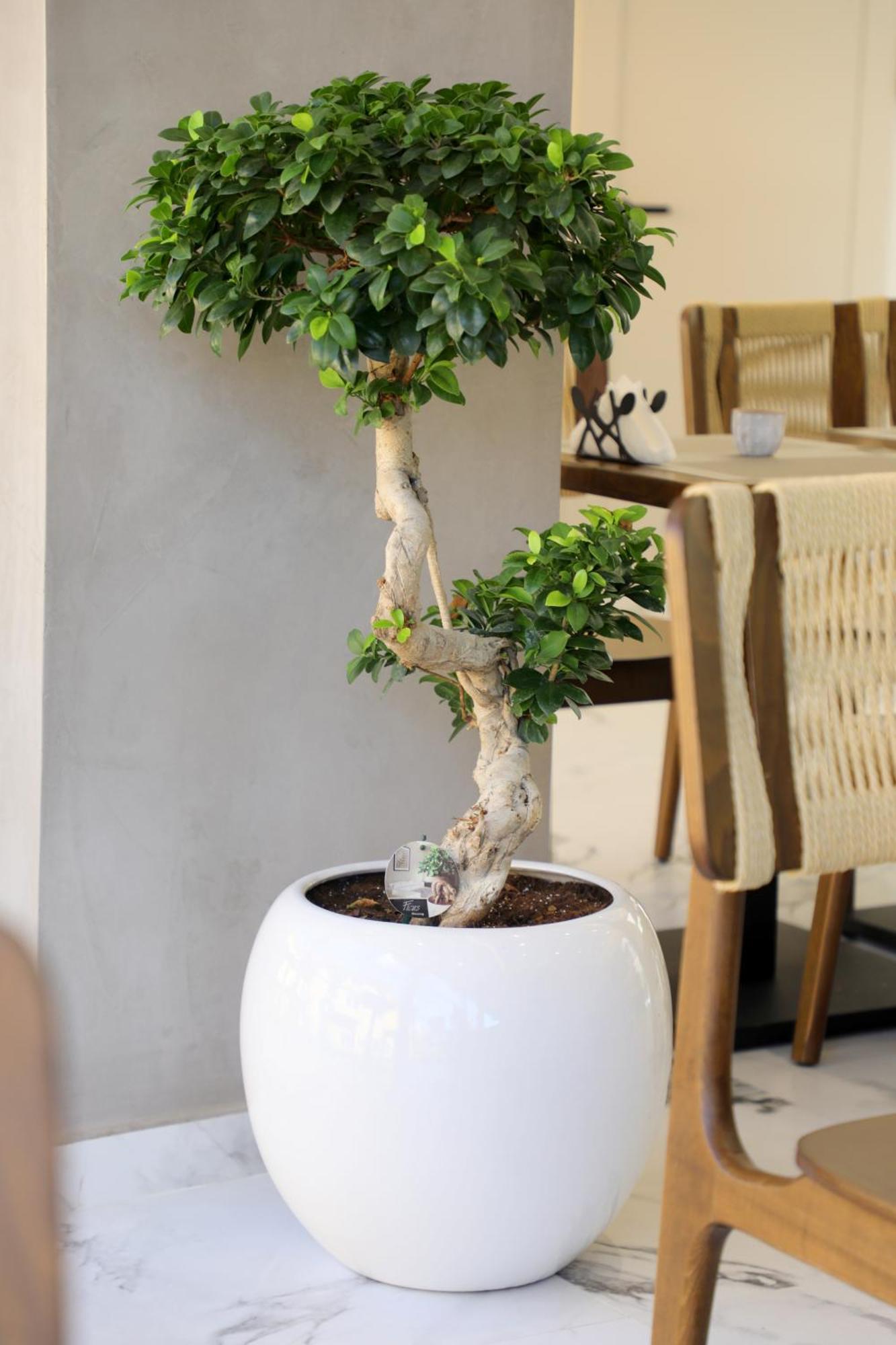 Niklas Boutique Hotel Sarande Ngoại thất bức ảnh
